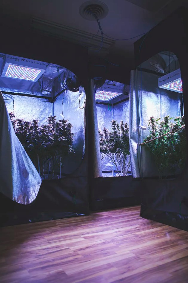 Horticulture Emerald Harbour